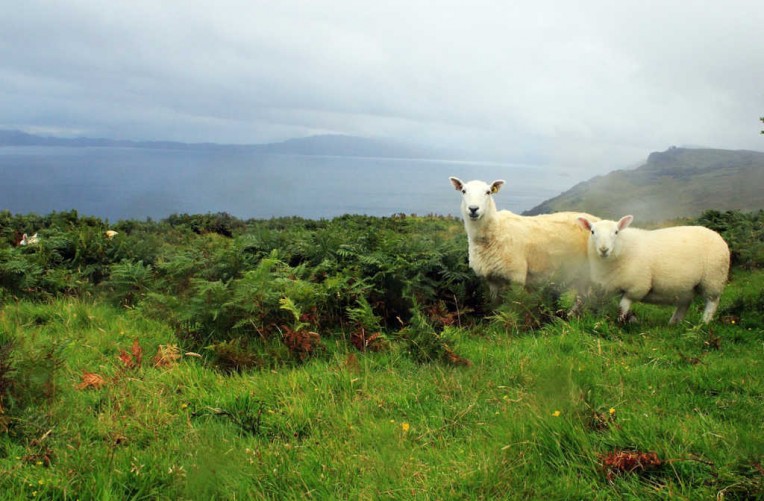 Schoene Aussichten Touristik_Schottland_pixabay_scotland-4944852_1280